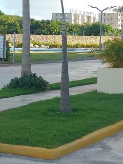 Pool Breeze 202 - Punta Cana - 8