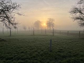 De Citadel - De Boomgaard - Markelo - 2