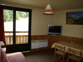 2 pièces au pied des pistes, balcon, parking gratuit, proche commerces et ESF - FR-1-557-24 - Les Adrets - 6