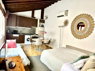 Apart. Palacio Canónigo 7 - Junto Catedral - 5