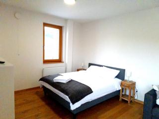 Studio Apartman 22, Rezidence & Wellness Javor - Železná Ruda - 4