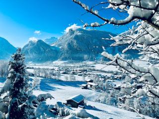 MB Apartment - Mayrhofen - 3