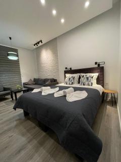 Belgrade Oasis Apartment - Belgrado - 8
