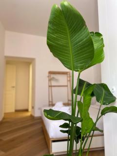 Boho Suites - Rome Colosseum - Rome - 8