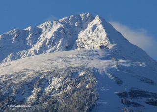 Deers - Bansko - 1