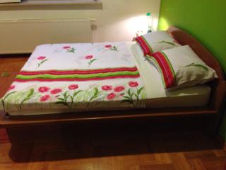 Guest House Šeperić - Jastrebarsko - 7
