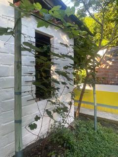 La Casa de Mónyk de la P En la jagua Huila - Garzón - 2