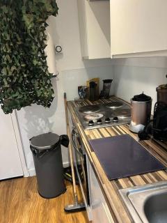 Amazing studio in Shepred bush - Londra - 0