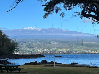 Direct Oceanfront Mauna Loa Shores Honu Elua #508 next to Carlsmith Beach park, Hilo HI - Hilo - 6