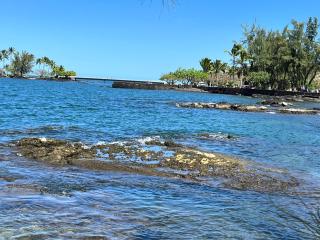 Direct Oceanfront Mauna Loa Shores Honu Elua #508 next to Carlsmith Beach park, Hilo HI - Hilo - 2