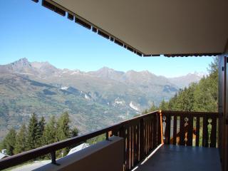Appartement de charme 4 pièces, 8 pers, balcon, proche pistes et centre, Vallandry - FR-1-411-875 - 5