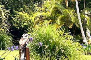 The Bungalow - Luxurious & Calm - Beach and Bush Retreat - Valla Beach - 2