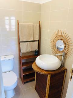 Kingfisher- Principe - 3