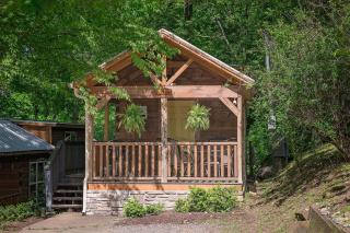 Ani Cabin Tiny Home Bordered By National Forest - Chattanooga - 9