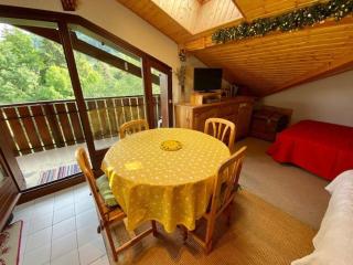 Duplex simple avec parking à La Clusaz - FR-1-459-33 - 7