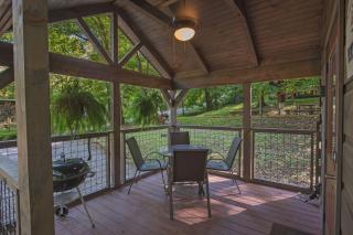 Apollonie Cabin Lookout Mountain Hot Tub - Chattanooga - 1