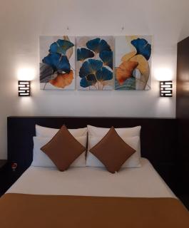 D Plus B&B Negombo - Negombo - 5