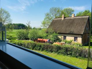 Workation auf Rügen - Ummanz - 1