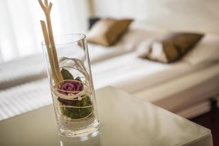 Wellness Hotel Casa Barca (Adult Only) - 2