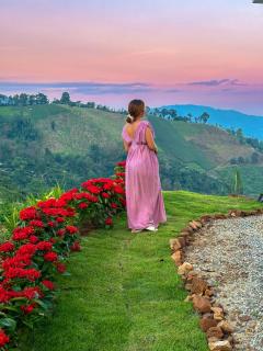 Above The Clouds - Chiang Rai - - 7