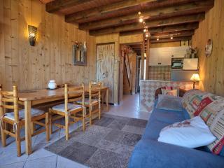 Duplex cosy à 200m des pistes, balcon, casier à skis, parking, WIFI, animaux acceptés - FR-1-505-38 - 9