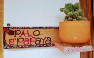 Hermoso Palomino - Palomino - 3