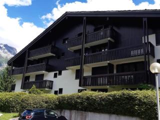 Bel appartement rénové avec vue sur le Mont-Blanc, parking couvert, animaux admis - FR-1-517-51 - Chamonix-Mont-Blanc - 1