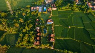 Aswanaya Villas Ubud - Ubud - 7