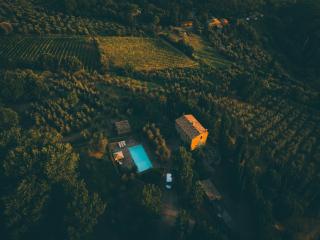 Tenuta Canina - Montalcino - 7