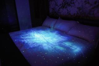 Cozy 3 BHK PoolVilla near Nagerhole National park. - 3