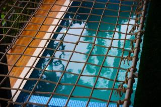 Cozy 3 BHK PoolVilla near Nagerhole National park. - 9