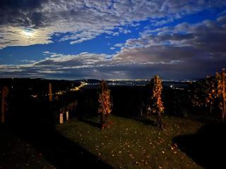 Villa VINEYARD - Velika Nedelja - 4