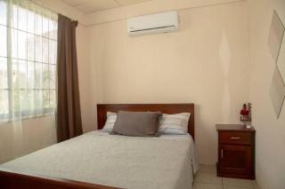 Doña Hilda Apartment, La Fortuna - Fortuna - 8