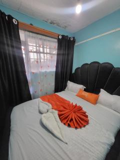 G&G Homes Lavish One Bedroom Ngala - Nakuru - 8
