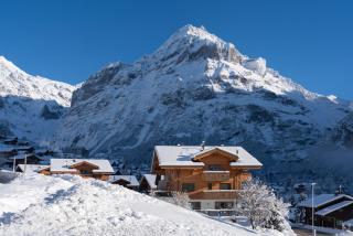 Chalet Alia and Apartments-Grindelwald by Swiss Hotel Apartments - Grindelwald - 9