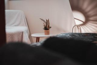 Viljandi Jahiloss - 5