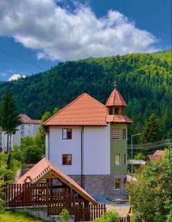 Pensiunea Violin Panzió - Băile Tuşnad - 9