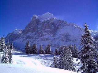 Hotel Alte Post - Grindelwald - 8