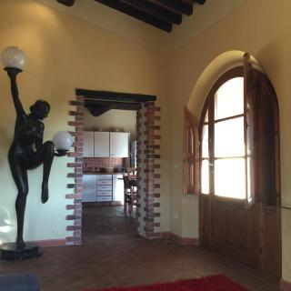Podere San'tAntonio - Riparbella - 1