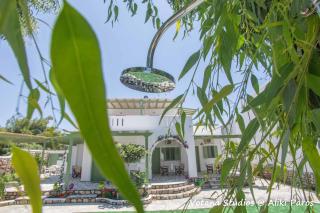 Votana Studios - Aliki - 5