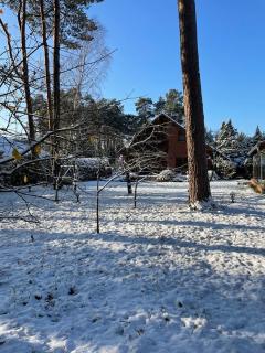 Auf der Heide - Borkheide - 8