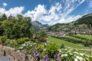 Hotel Restaurant Bänklialp - 5