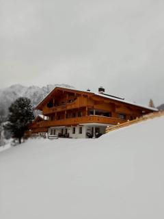 Topp Rossmoos - Alpbach - 6