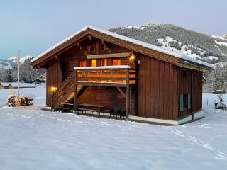 Alpenchalet Weidhaus Gstaad - Gstaad - 8