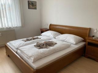 Apartment SOPHIA - Schladming - 0