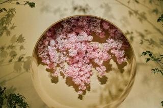 KONJAKUSO Osaka Tengachaya "NIHONCHA" Tea & Relax - Osaca - 2