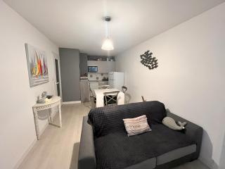Appartement 3 pièces à 100m de la plage avec grande terrasse et WIFI – Les Sables-d'Olonne - FR-1-197-537 - Les Sables-d'Olonne - 9