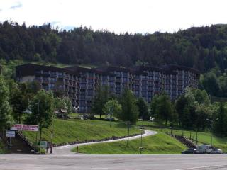 Appartement au Pied des Pistes à Villard-de-Lans, 3 Pièces, 7 Pers., 64m², Balcon Sud - FR-1-515-128 - 3