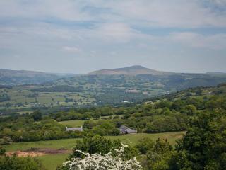 1 bed in Crickhowell 42953 - Llangattock - 7