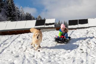 Gästehaus Seewinkel - 3